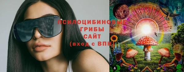 дживик Алзамай