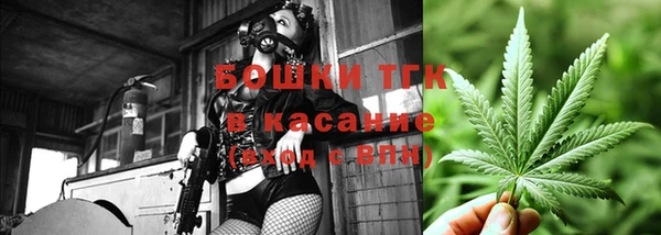 дживик Алзамай
