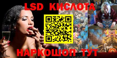 шишки Нарткала