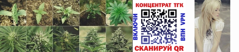 наркошоп  блэк спрут ссылки  Дистиллят ТГК THC oil  Похвистнево 