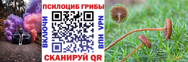 Галлюциногенные грибы мухоморы  Похвистнево 