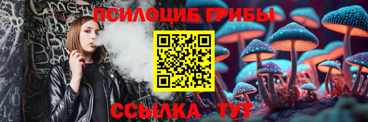 Похвистнево  Галлюциногенные грибы Psilocybine cubensis  Вход с VPN 