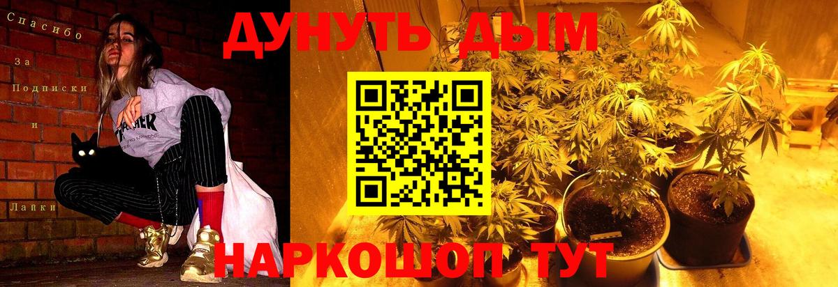 Конопля SATIVA & INDICA  Вход с VPN  Марихуана план  Похвистнево  Бошки Шишки планчик 